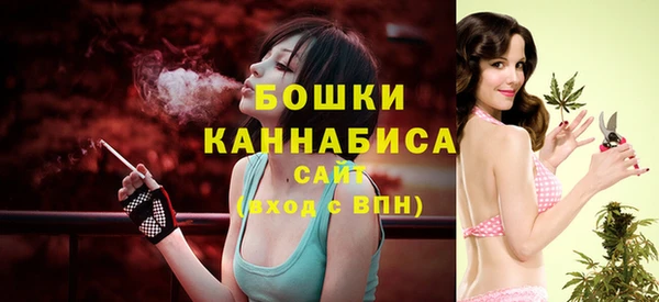 крисы Белоозёрский