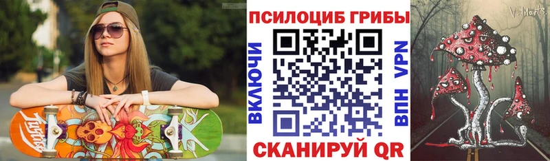 Галлюциногенные грибы Psilocybe  Волжск 
