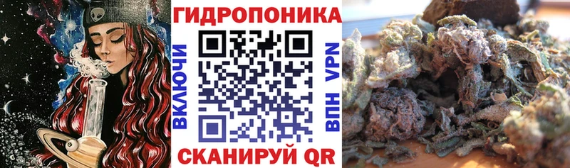 Марихуана план  как найти наркотики  Волжск 